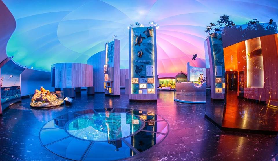 Night of Museums May 2025: the best activities of this edition!