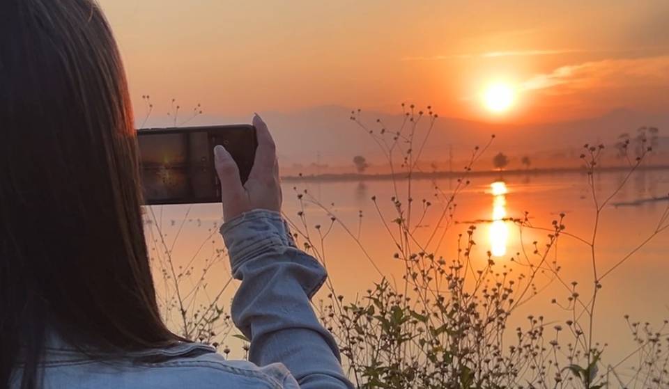 ¡Existe un Safari Fotográfico en trajinera! ¿Ya lo conoces?