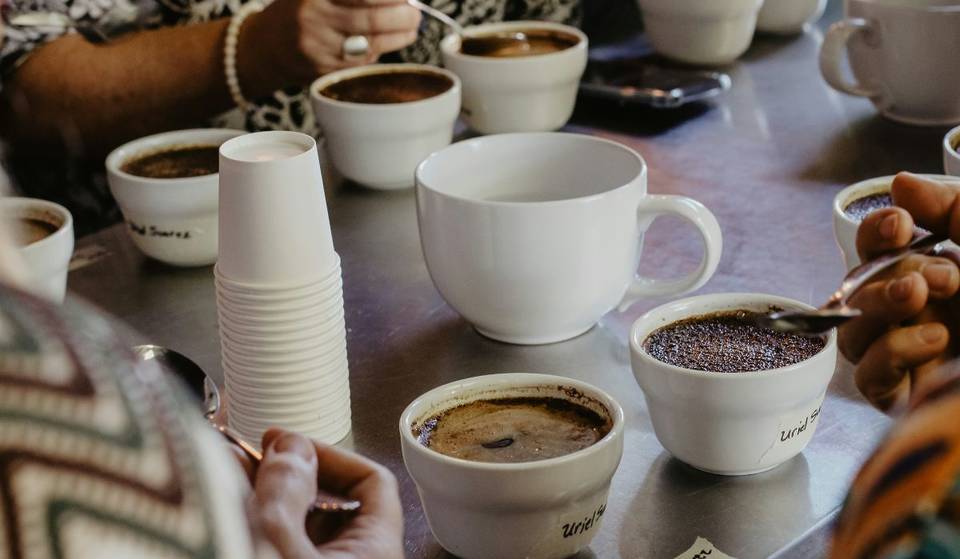 Llega al Centro Histórico Caféstival Mx, el festival de café