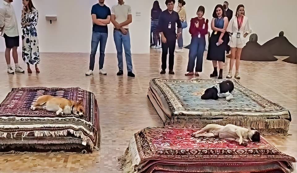 Perritos sobre tapetes persas en esta expo del Museo Tamayo