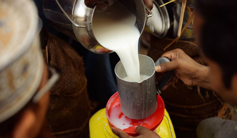 Pulque Fest 2024, el festival que lleva pulquiza al sur de CDMX