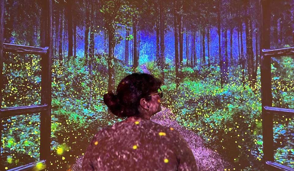 Mystika es una expo que celebra la belleza de la naturaleza mexicana