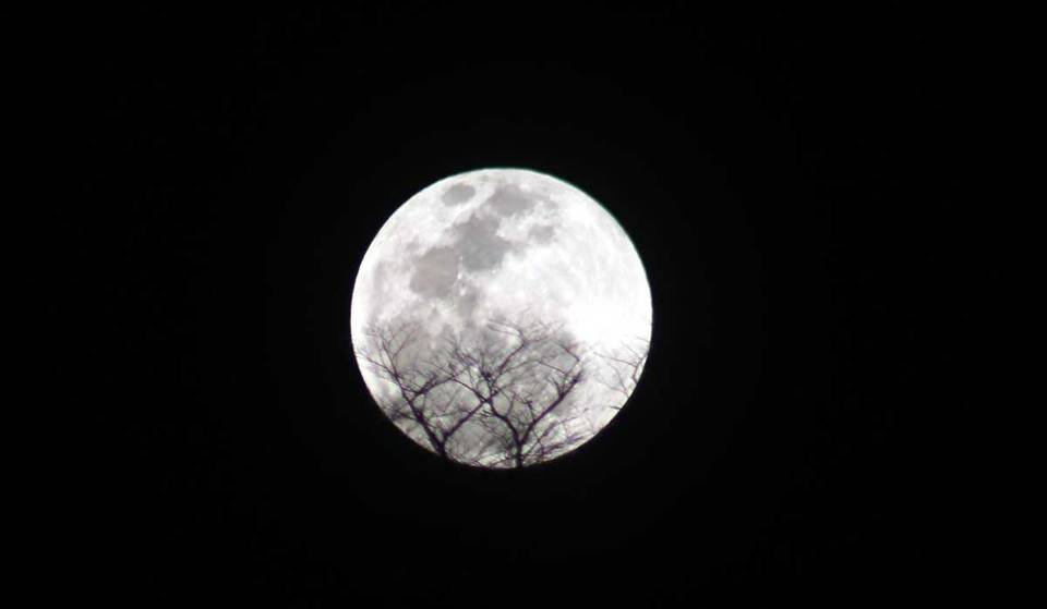 ¡A partir de esta hora podrás ver la última superluna de 2024!