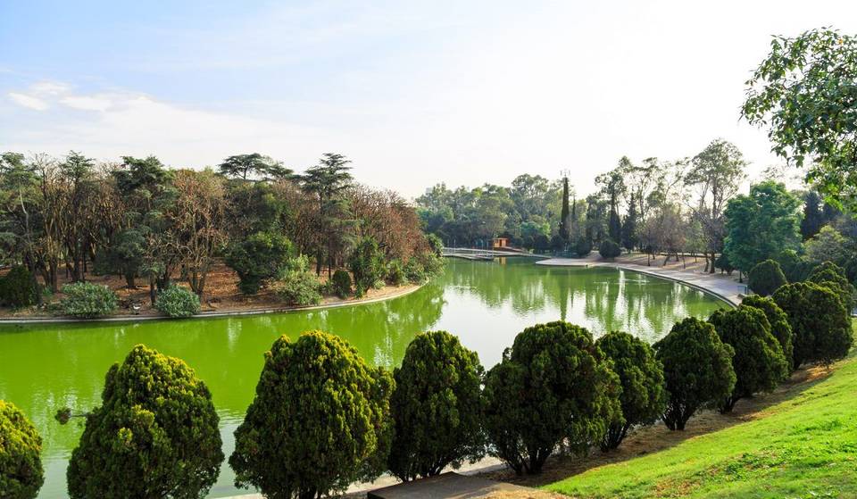 The glow of Candlelight now comes to the Chapultepec Forest with these tribute concerts.