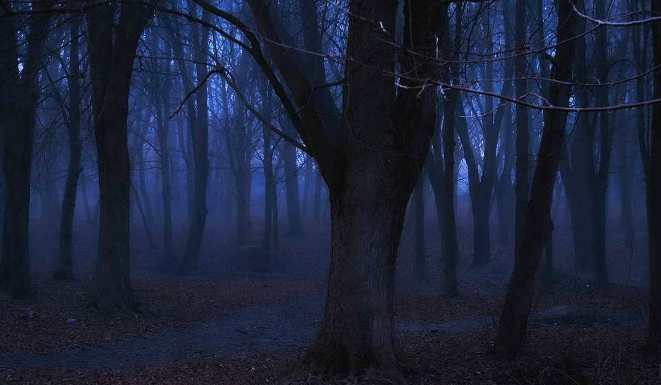 ¡Cuentos de terror, música y ofrendas! Todo lo que habrá en Chapultepec por Día de Muertos 2024