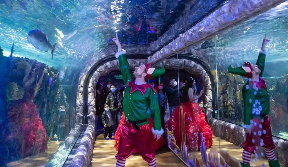 Listen to Christmas stories at the Inbursa Aquarium with this themed tour.