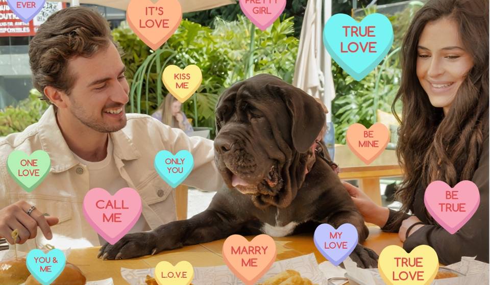 Take your doggie on a Valentine’s Day date to help other doggies.