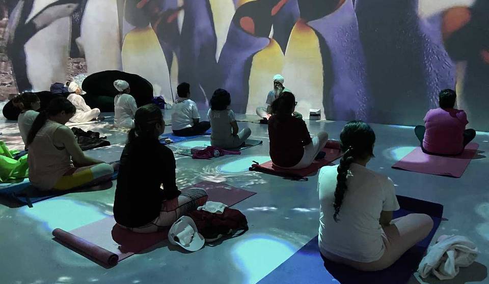 Éntrale a las sesiones gratis de yoga inmersivo en Barco Utopía
