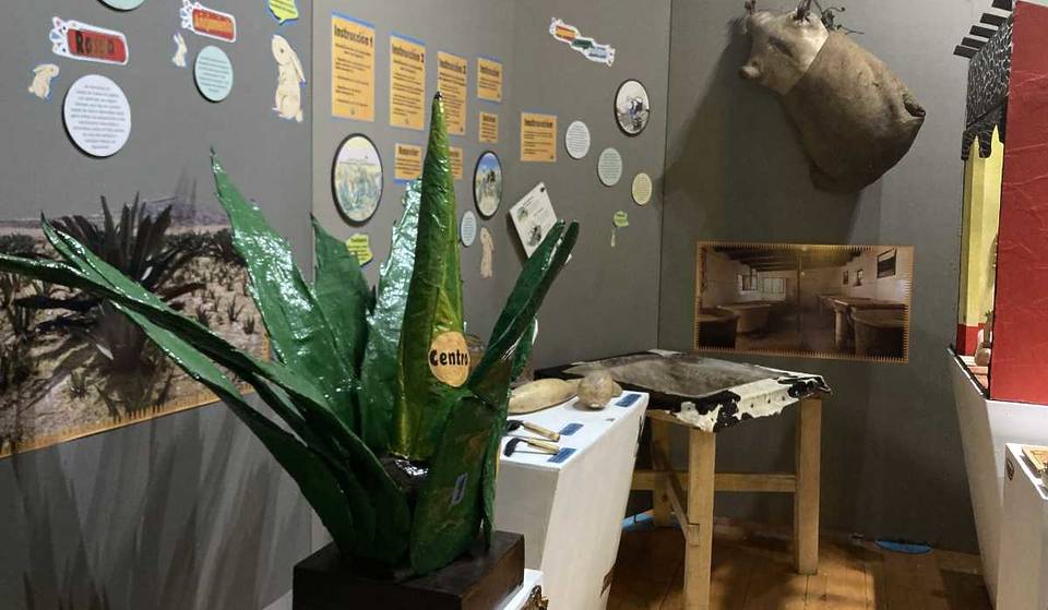 ¡Visita gratis el Museo del Pulque y otros museos del Centro Histórico con este circuito!