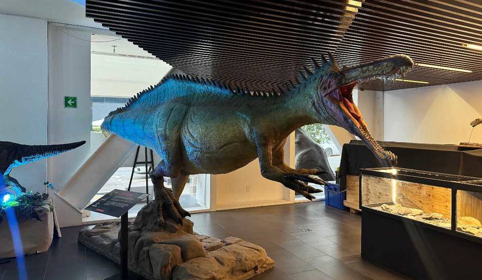 ¡Visita gratis esta exposición de dinosaurios en CDMX! Verás la réplica de una cabeza de un Tiranosaurio