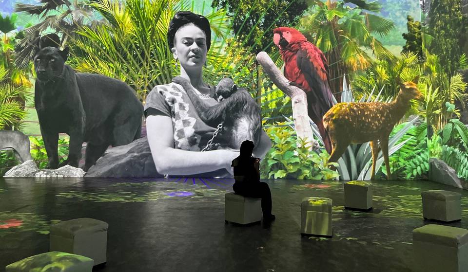 Frida Kahlo: la Biografía Inmersiva es una exhibición que te lleva a descubrir detalles de su vida que no todos conocen