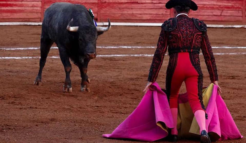 What are bullfights without violence? This is the proposal on bullfighting