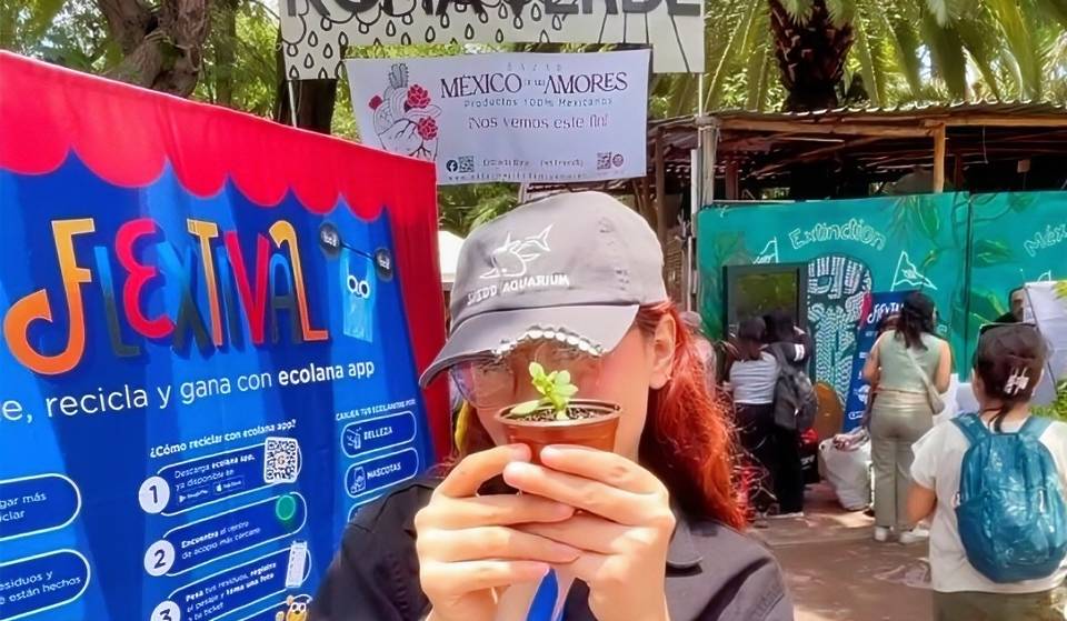 Flextival: Workshops, fun and more while recycling!