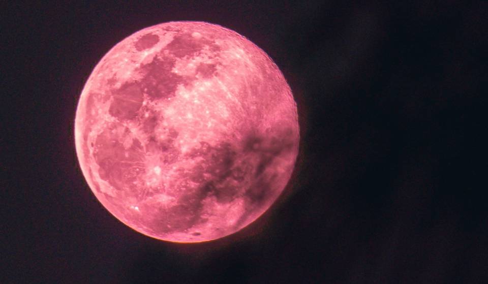 This is the exact date when the Pink Moon will take place in CDMX this April
