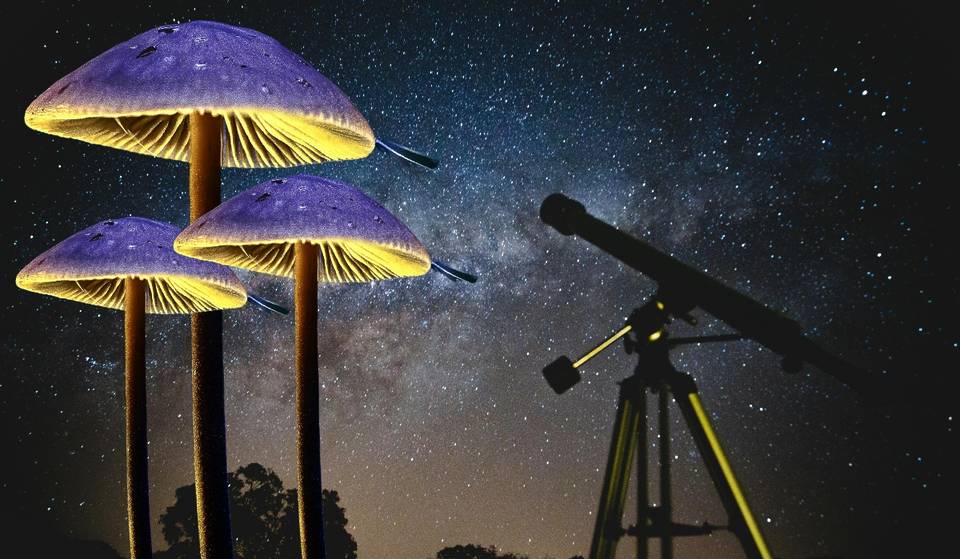 There will be free stargazing at Spora Festival del Bosque!