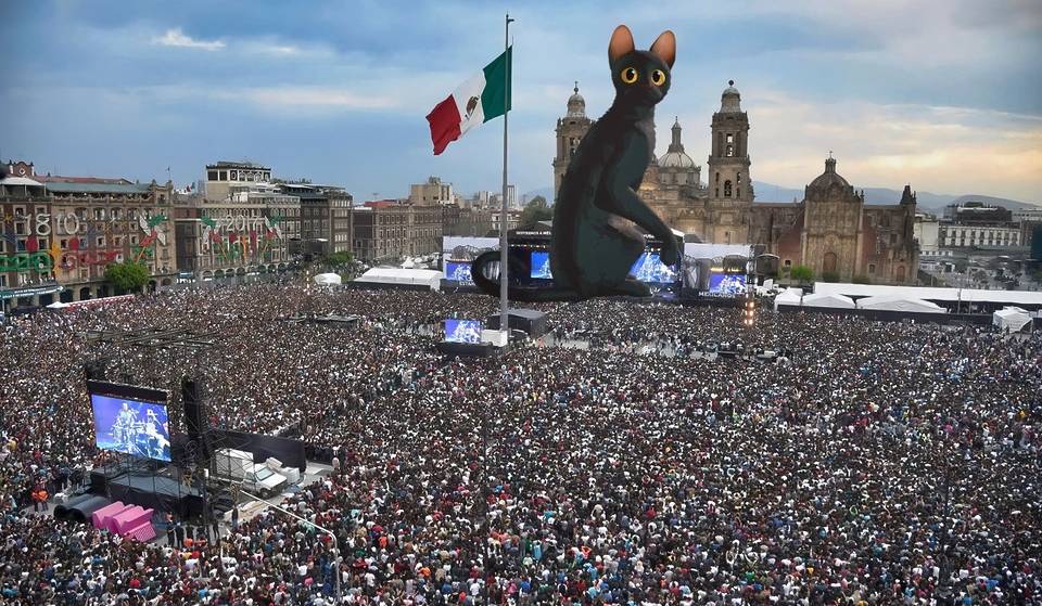 Take your kids to see Flow at the Zócalo, it’s free!