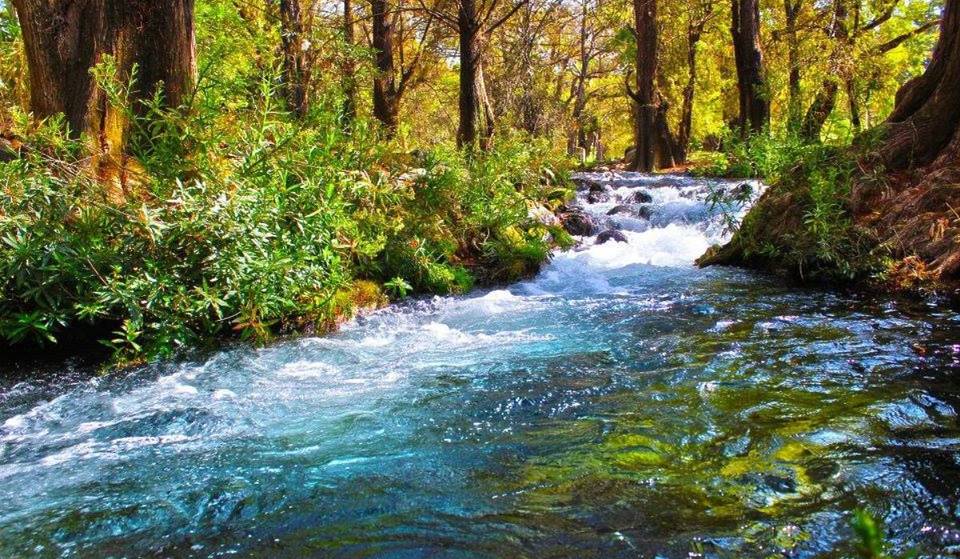 This spa hides the Poza Azul spring pool where Moctezuma used to bathe: admission costs $150