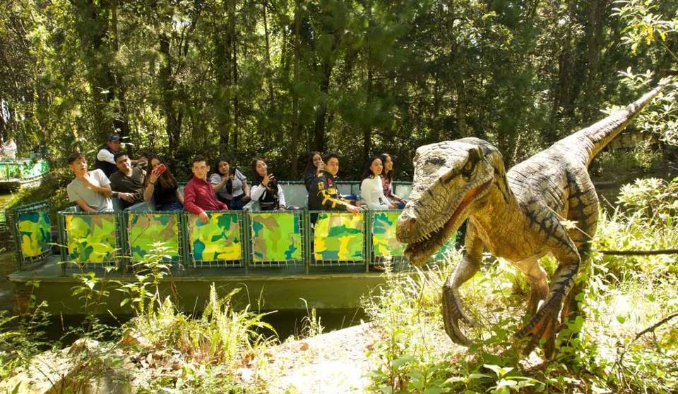 El safari con dinosaurios hiperrealistas y excavación de fósiles que ofrece transporte redondo desde CDMX