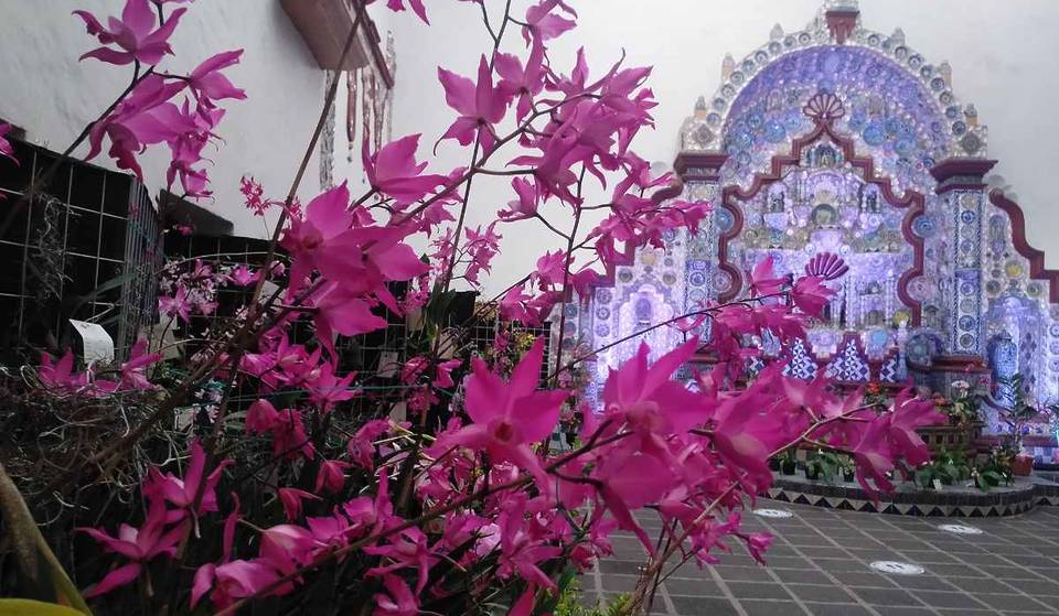 ¡Ya está aquí la exposición de orquídeas en el Museo Casa del Risco! Habrá venta de plantas y artesanías