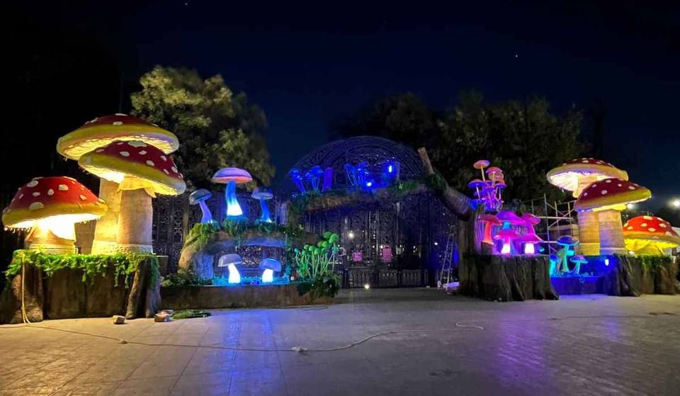 ¡Los hongos monumentales de Chapultepec se quedarán tres meses más!