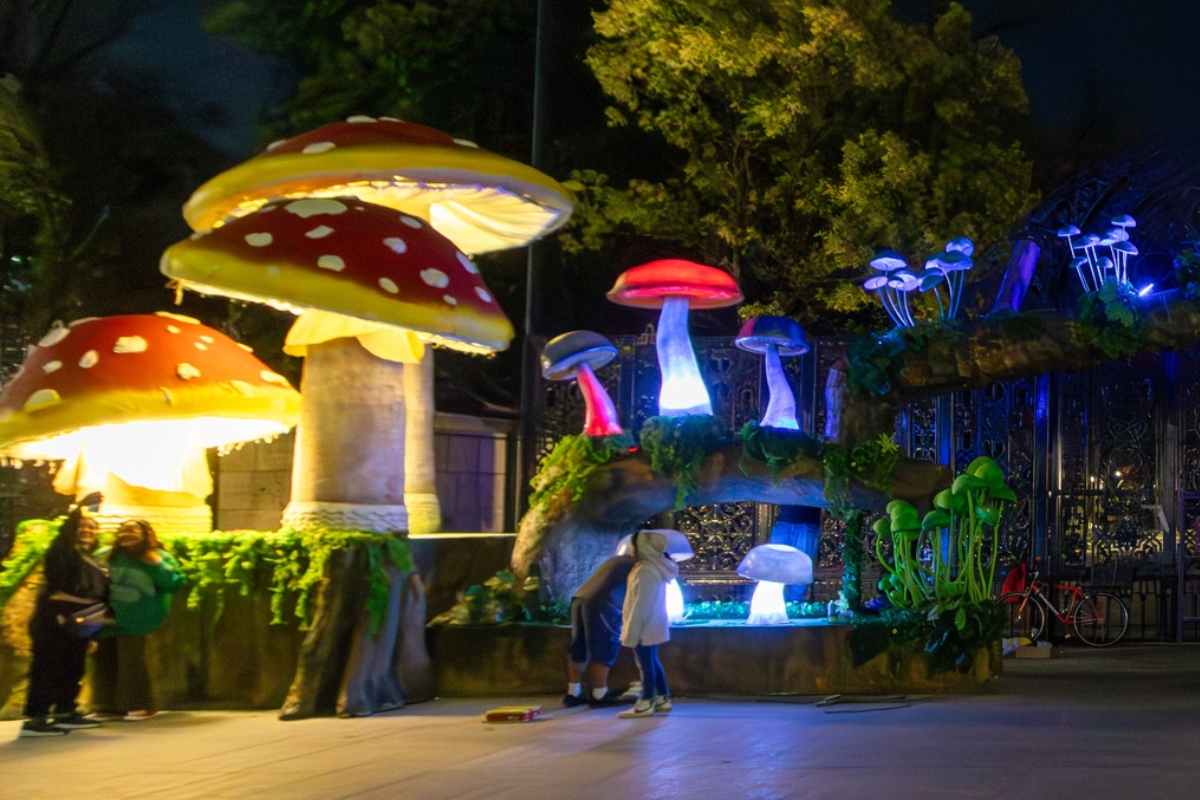 ¿Hasta cuándo estarán los hongos de Chapultepec?