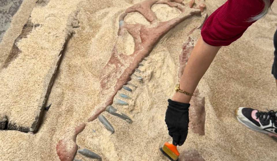 ¡Excava y encuentra dinosaurios en esta experiencia en CDMX por solo $49!