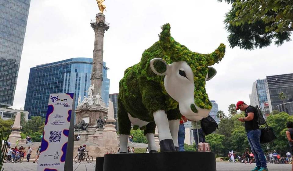 There is already a date for the Cow Parade 2025 in CDMX! Is it still a long way off?