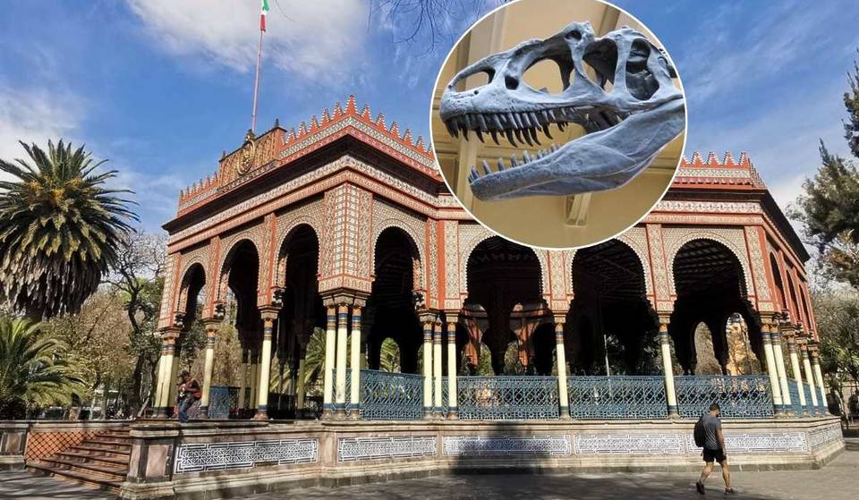 Descubre más sobre dinosaurios y fósiles en este evento en Santa María la Ribera