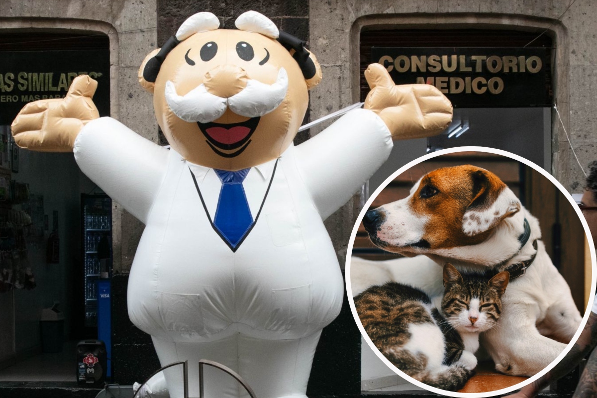 Simi Pet Simi will give veterinary service: accessible medical care for puppies ...