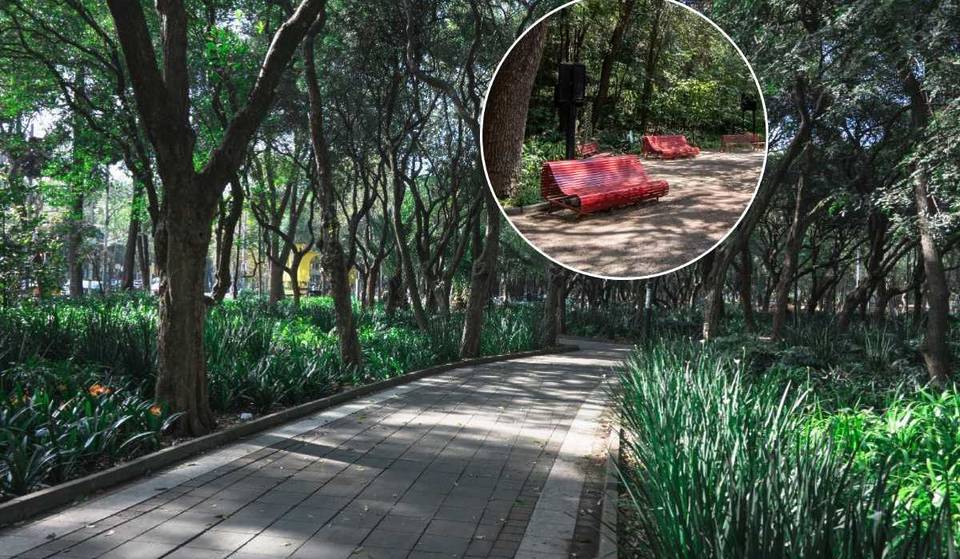 ¡Éntrale a un recorrido sensorial en el Bosque de Chapultepec! También habrá concierto en el Audiorama