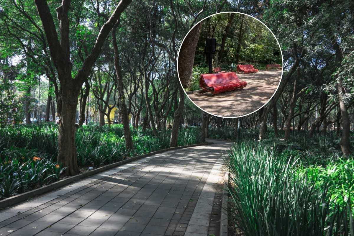 Caminata sensorial en Chapultepec