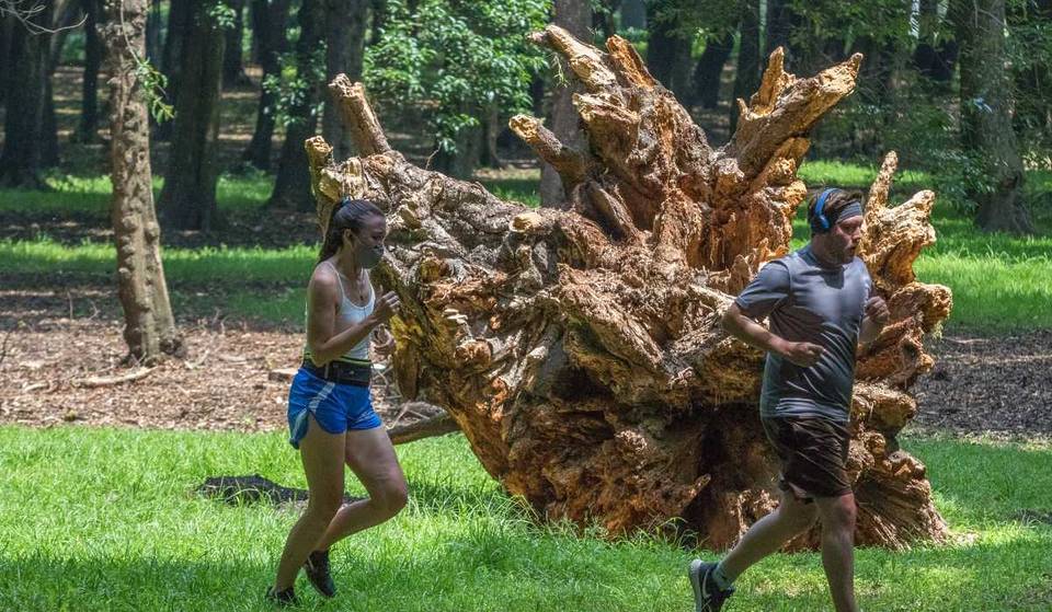 Get your sneakers ready and cross the Chapultepec Forest with this race!
