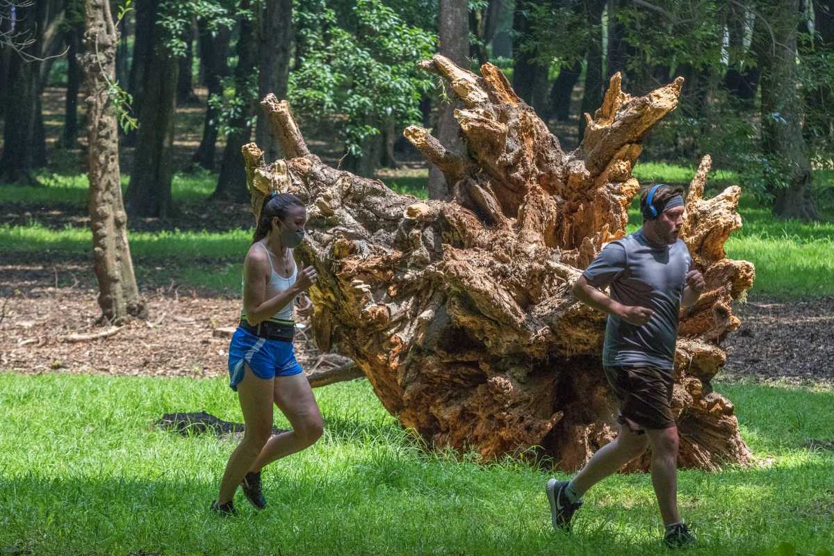 Carrera en Chapultepec 2025