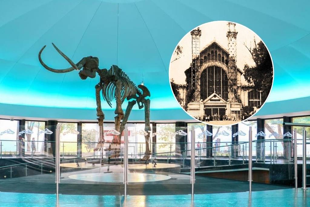 museo de historia natural palacio de cristal