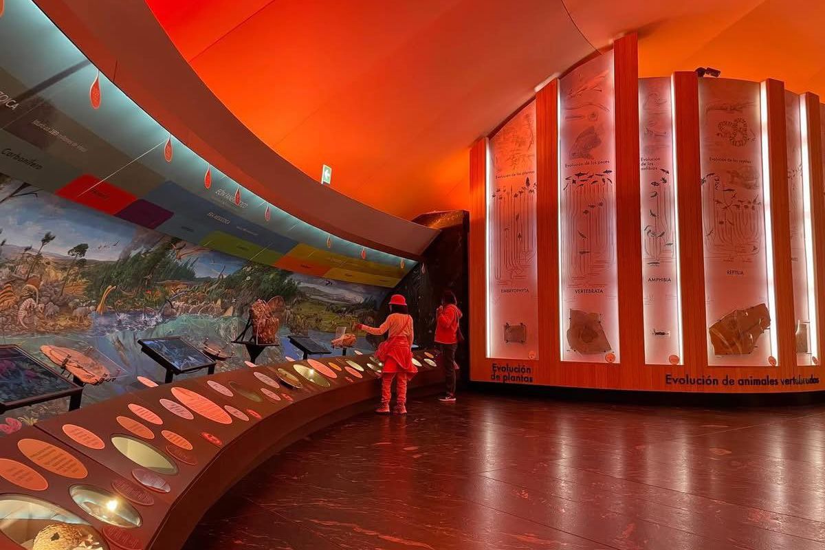 museos en chapultepec cdmx