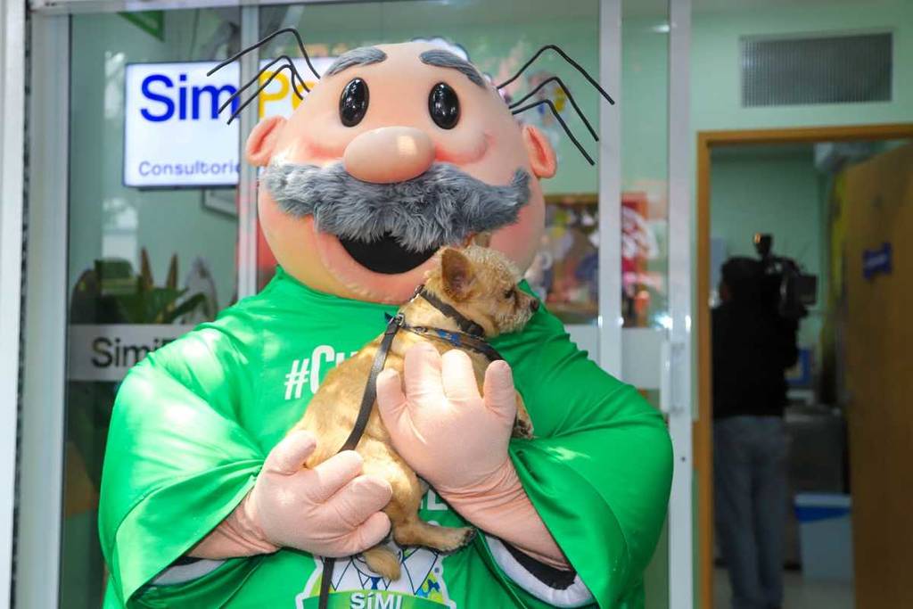 Cost of Simi veterinary consultation