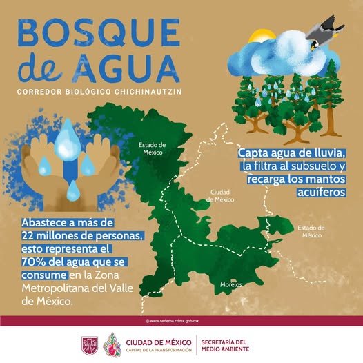 Bosque de Agua