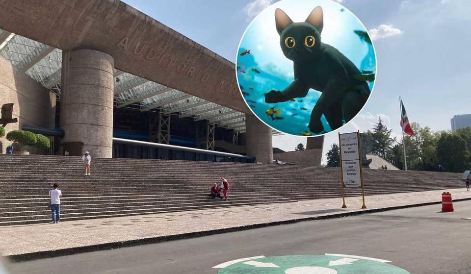 ¡Lánzate a ver Flow con música en vivo en el Auditorio Nacional! El compositor de la cinta participará en el evento