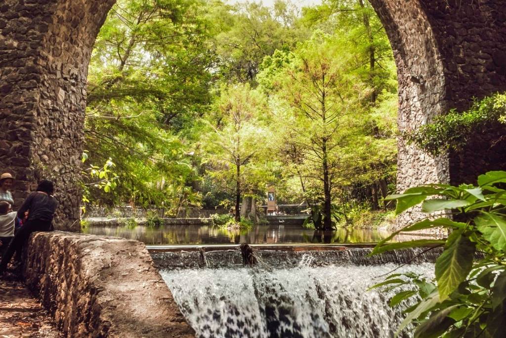 Parque Barranca Chapultepec