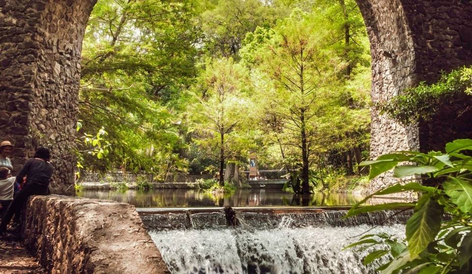 Este Chapultepec no está en CDMX: un paraíso natural con río, cascadas, animales y desayuno entre la naturaleza a un par de horas de la ciudad