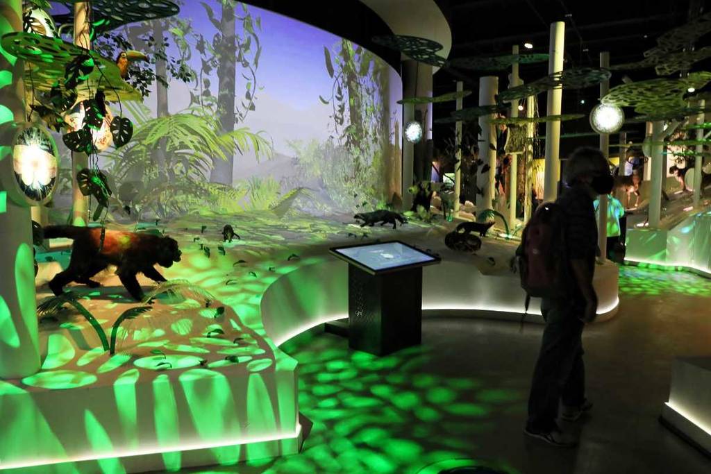 UNAM museums that will be closed on vacation