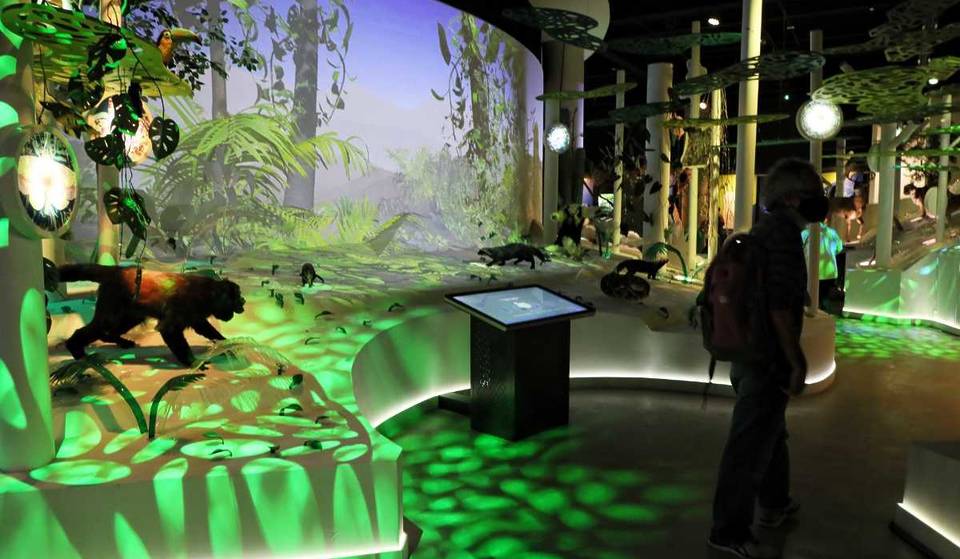 Biodiversity Pavilion, Chopo and more UNAM museums that will be closed on vacation: note the dates.