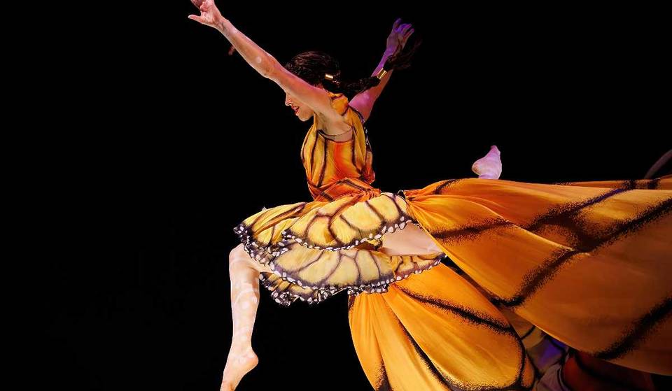 Dates, costs, venue and everything you need to know about Cirque Du Soleil’s new show OVO in CDMX