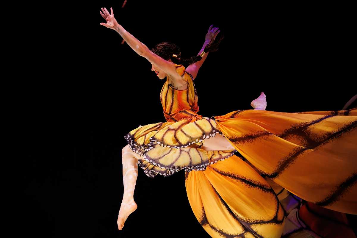 Cirque Du Soleil Ovo en CDMX