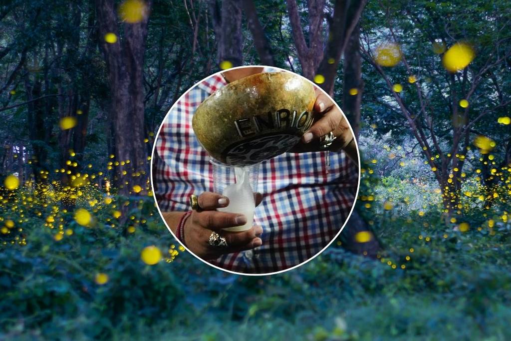 pulque and fireflies tour in Tlaxcala