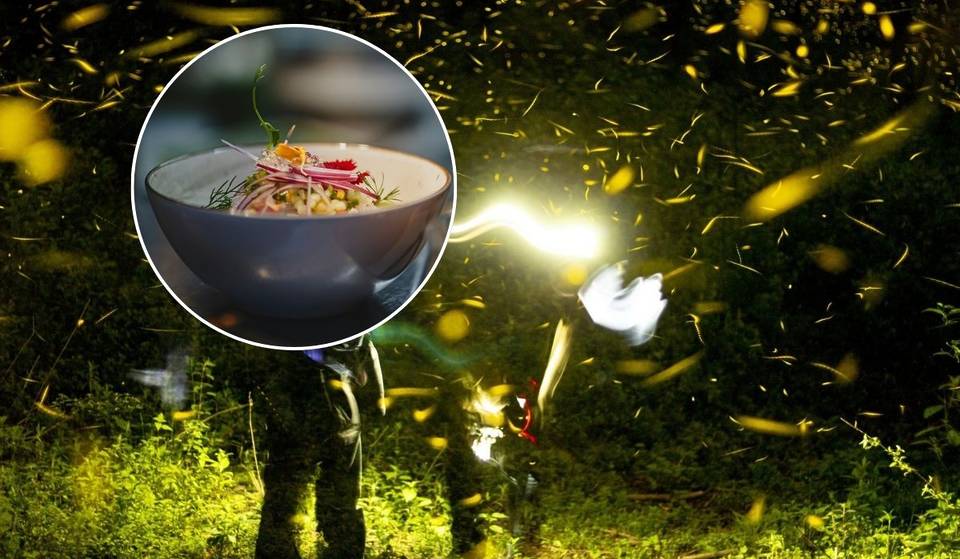 Dinner by the light of fireflies in CDMX: with bonfire and ceremonial cocoa you will live this illuminated gastronomic experience.