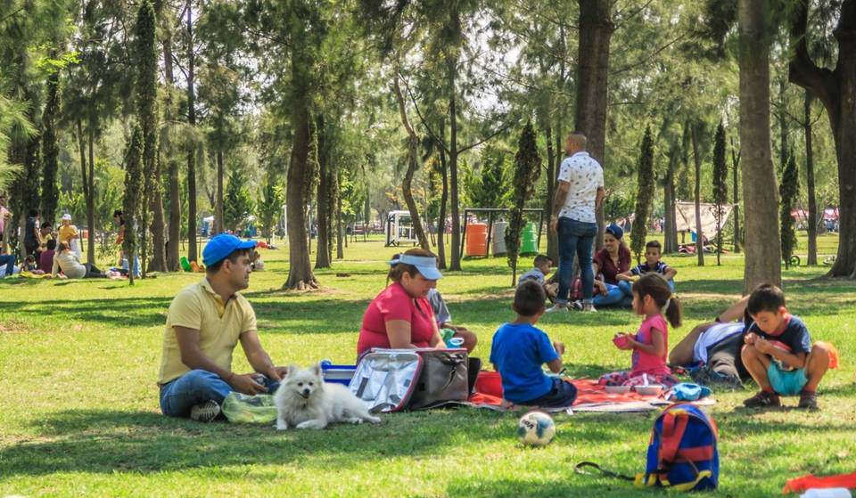 The free festival for puppies coming this weekend to Bosque de Aragón: bazaar, theater, adoptions and more