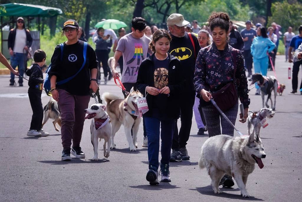 Día Mundial del Perro en el Bosque de San Juan de Aragón