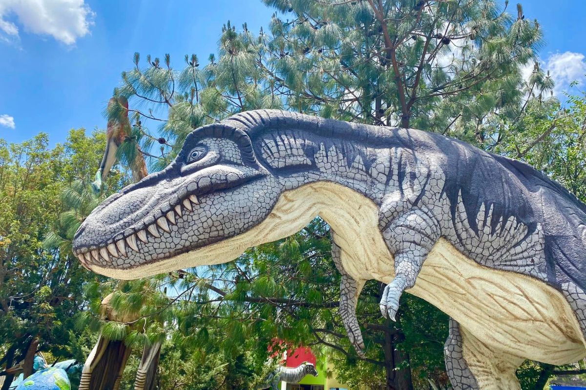 circuito dinoparque pachuca