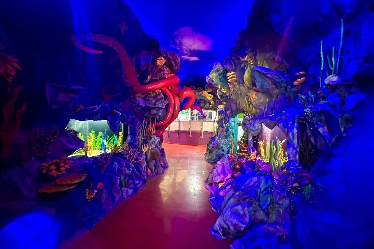 museo el rehilete hidalgo